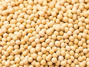 Soybeans